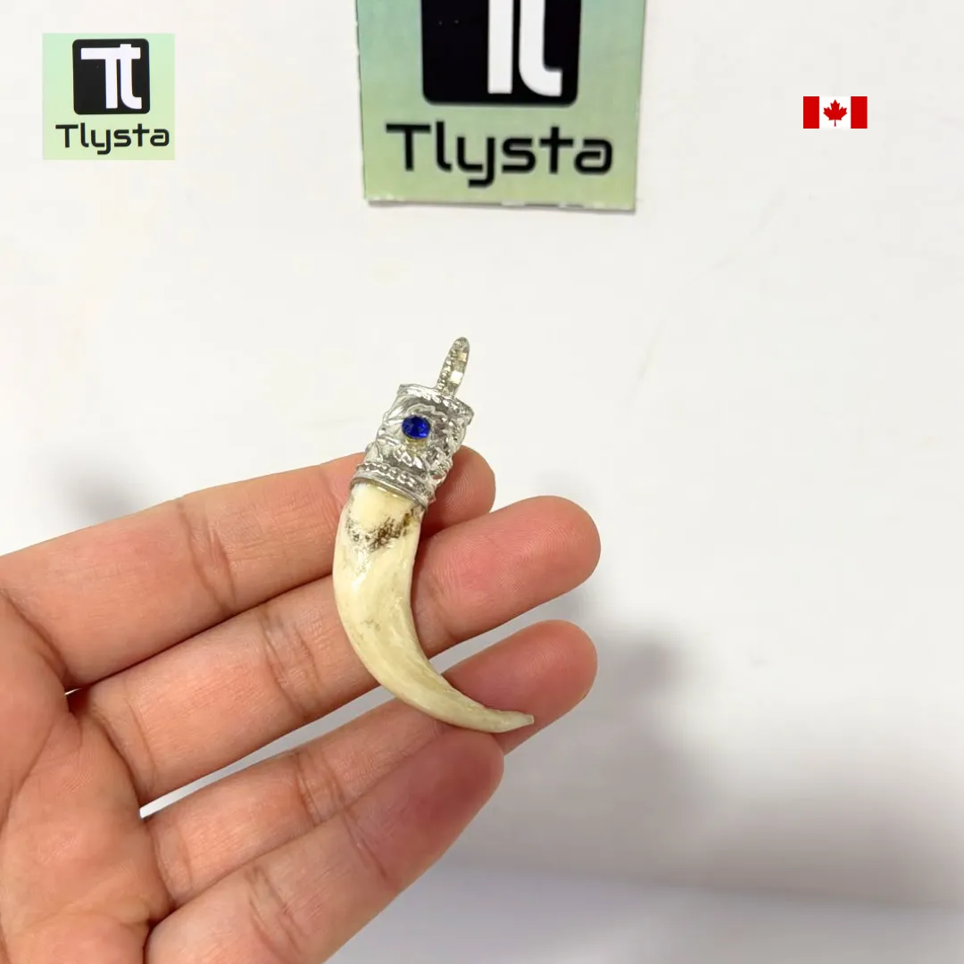Boar Tusk (Soor Dandh) – Size Small Shape 7
