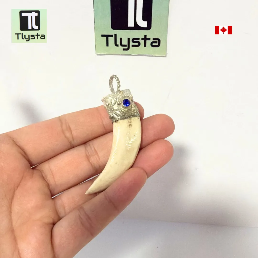 Boar Tusk (Soor Dandh) – Size Small Shape 8
