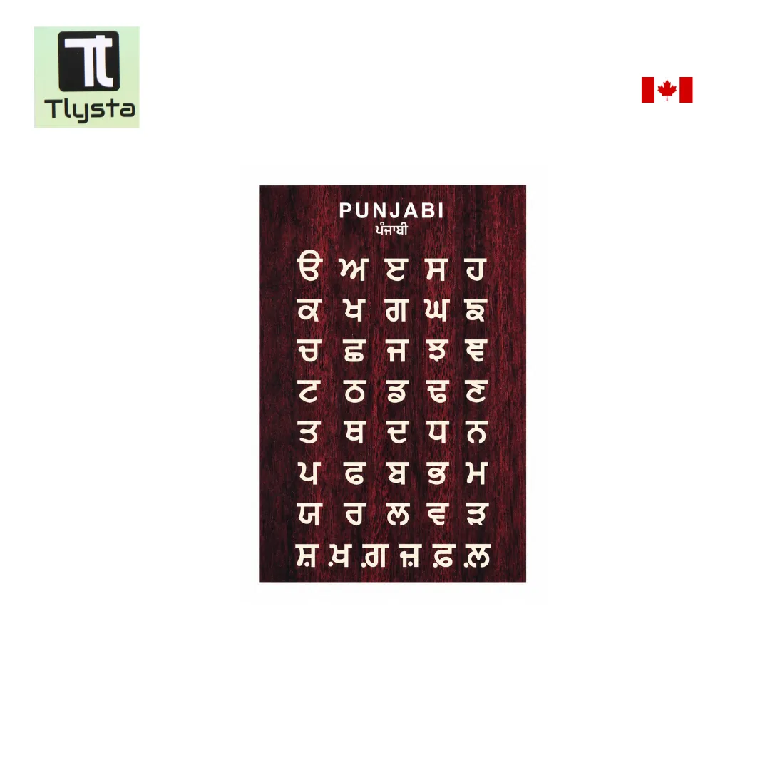 Punjabi Gurmukhi Alphabet Sticky Board Size 8×11 inch