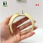 Boar Tusk (Soor Dandh) Double Big Joint- Shape 2