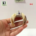 Boar Tusk (Soor Dandh) Double Joint- Shape 2
