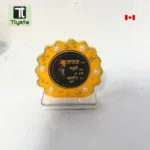 Guru Nanak Dev Ji Car Dashboard