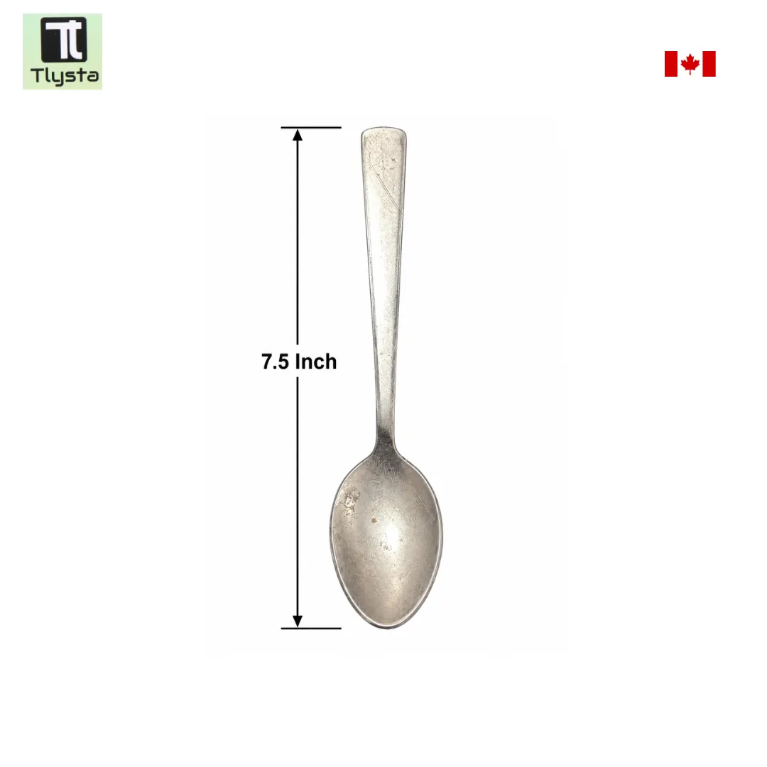 Sarbloh Spoon