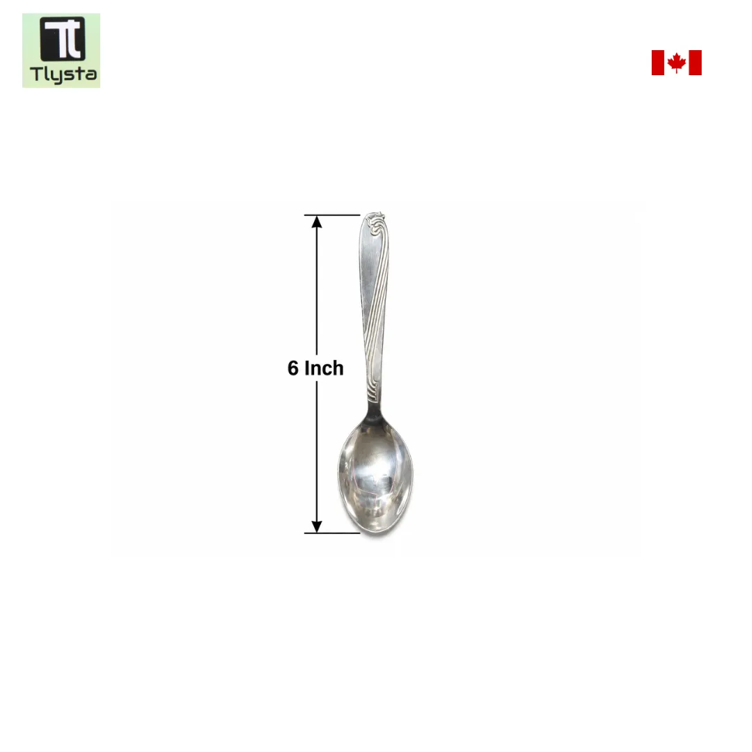 Steel Spoon
